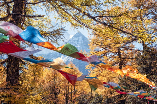 Preview: Sacred Xiannairi mountain with colorful prayer flags blowing in forest