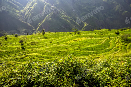 Preview: Mountain Fields