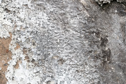 Preview: white concrete wall texture
