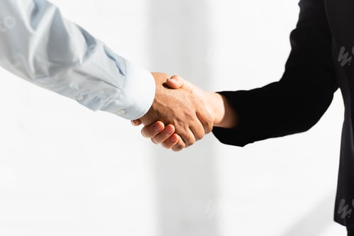 Preview: partial view of politicians shaking hands on white