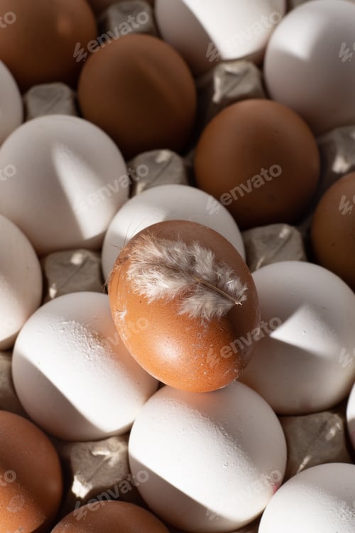 Preview: Egg background. White and brown eggs in a tray. Protein food. Eco organic.