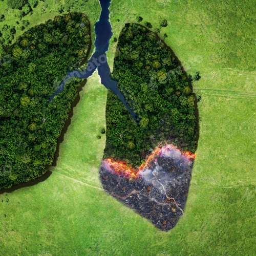 Preview: Forest and fire on a green field, top view. Trees in the form of lungs, the health