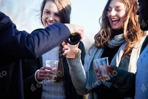 Preview: Friends toasting outdoors on a sunny day
