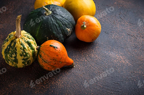 Preview: Assortment of decorative pumpkins. Autumn background
