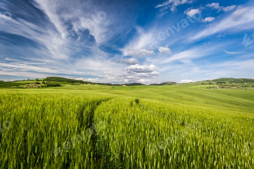 Preview: Beautiful view of the tortuous path at sunset in Tuscany