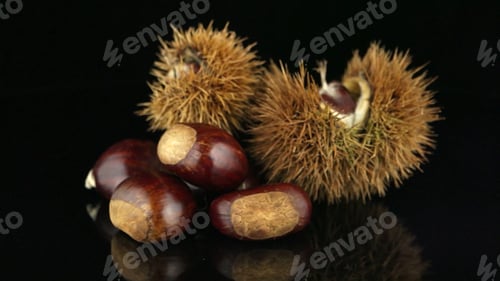 Preview: Chestnuts on a black reflective background