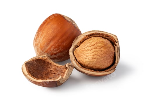 Preview: Hazelnuts on white background