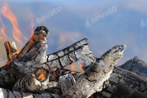 Preview: The Fire Burns At Night In Nature