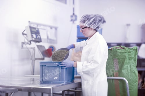 Preview: Factory worker scooping herbs into plastic crate