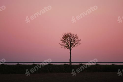 Preview: Road Rails And Tree Silhouette In Sunset