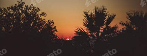 Preview: Beautiful fiery sunset sky on the beach