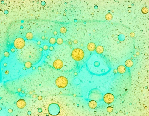 Preview: accidents happen