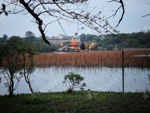 Preview: Ueno park with cherry blossom sakura over the lake