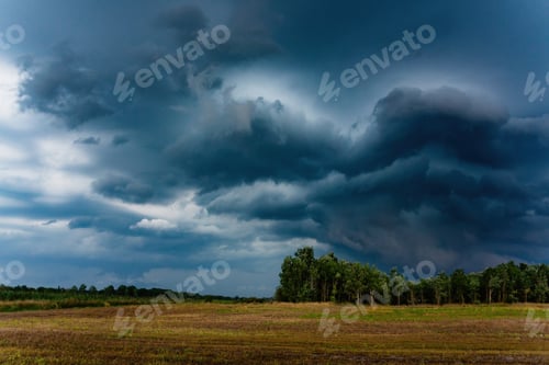 Preview: Stormy field