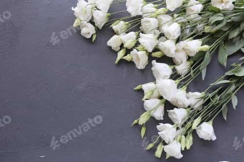 Preview: White beautiful flowers close-up