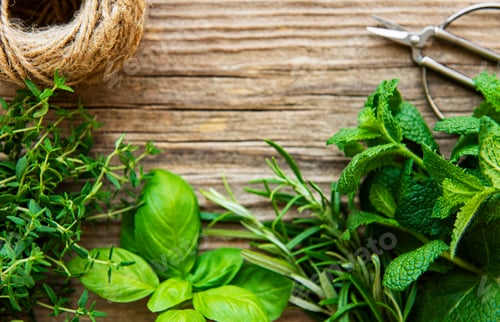 Preview: Bunch of aromatic herbs