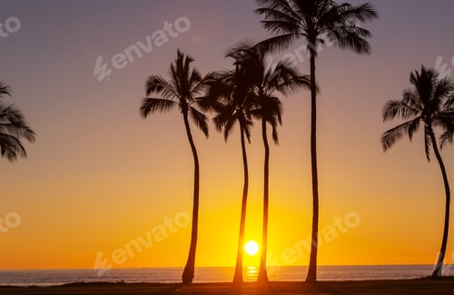 Preview: Hawaiian sunset