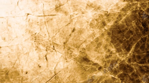 Preview: Waist-up shot of friendly tender and feminine cute woman with curly hairstyle tilting head and