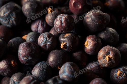 Preview: Raw Organic Juniper Berries