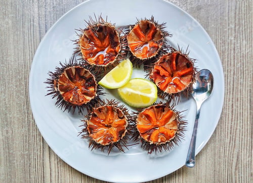 Preview: Sea Urchin on a Plate with Lemon