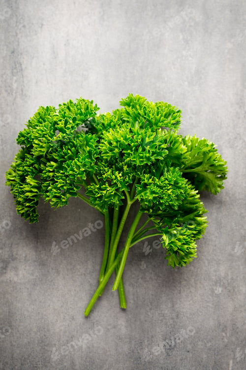 Preview: Green, fresh parsley on gray metal surface.