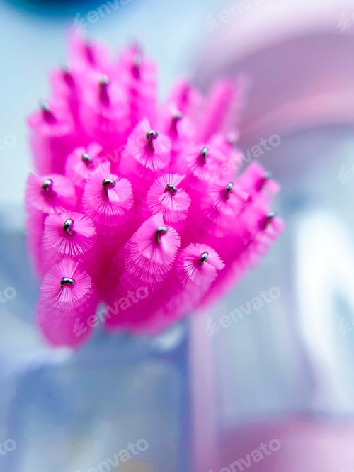 Preview: brushes for combing eyelashes and eyebrows