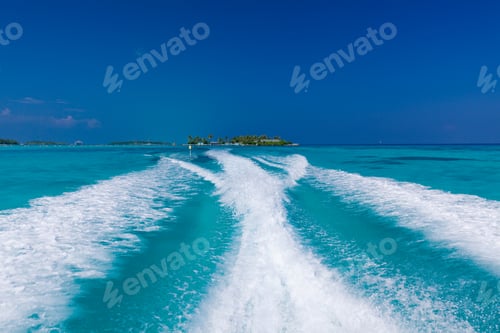 Preview: Tropical beach in Maldives with palm trees and vibrant lagoon