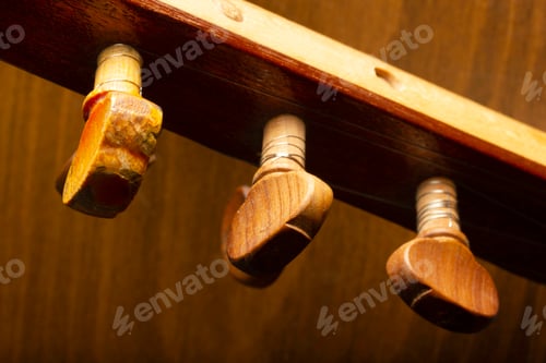 Preview: Detailed Wood Tuning Pegs of String Instrument