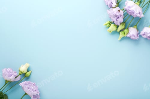 Vista previa: Festive flower composition purple color on light blue background. Flowers frame. Overhead view. Top