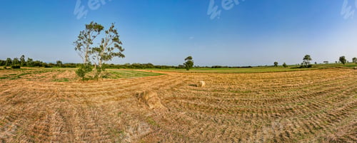 Preview: Aerial View of rural landscape