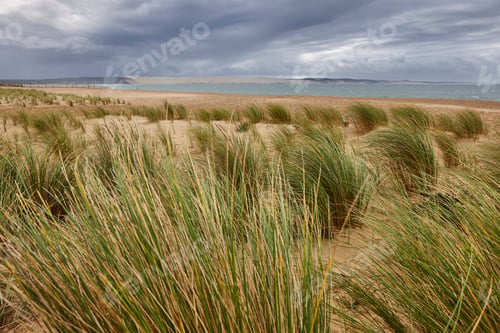 Preview: Arcachon bay and Cape Ferret in Aquitaine. Atlantic coastline, France