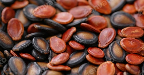 Preview: Mix of red and black melon seed