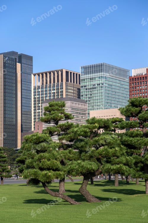 Preview: Beautiful green park garden with city view inTokyo, Japan