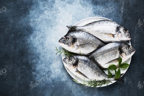 Preview: Four Fresh Royal Dorado fish on a white dish on blue backdrop. Healthy food concept