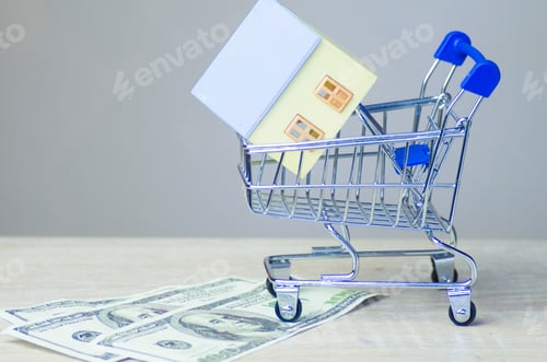 Preview: shopping basket with a model of a house on the road with US dollar bills, isolated