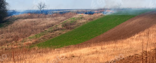 Preview: burning dry grass, fire hazard to nature, arson problem