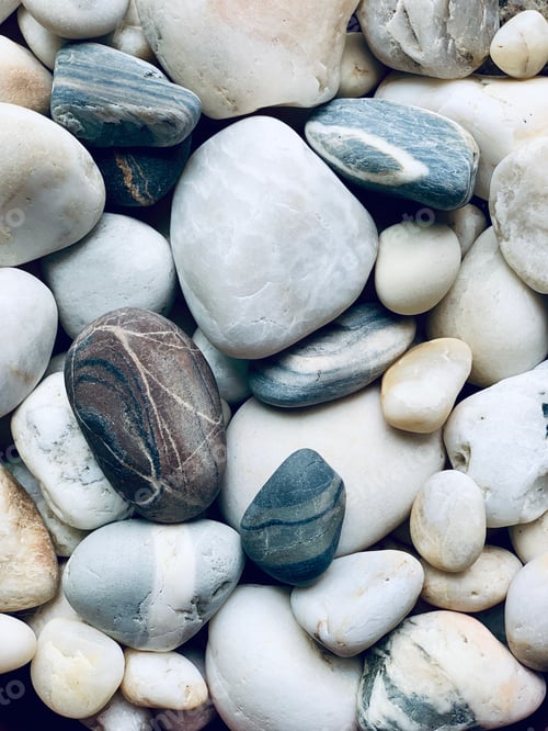 Preview: Wishing rocks, beach stones, striped, white or black, agates, fossils & quartz fill my collection.