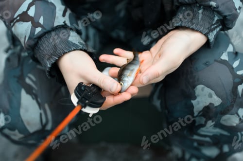 Preview: Fisherman holds the caught fish close-up. Winter fishing on the lake.