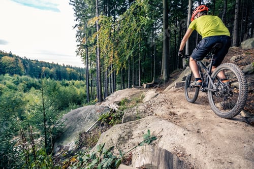 Preview: Mountain biker riding cycling in autumn forest