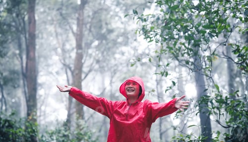 Preview: Joyful young woman breathing pure air in a lush forest