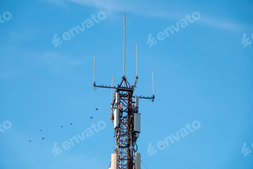 Preview: Low angle shot of a telecommunications tower with Starling birds perched on it