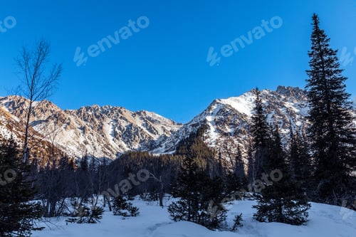 Vorschau: Schneebedeckte Berge und Tannen im Winterpark
