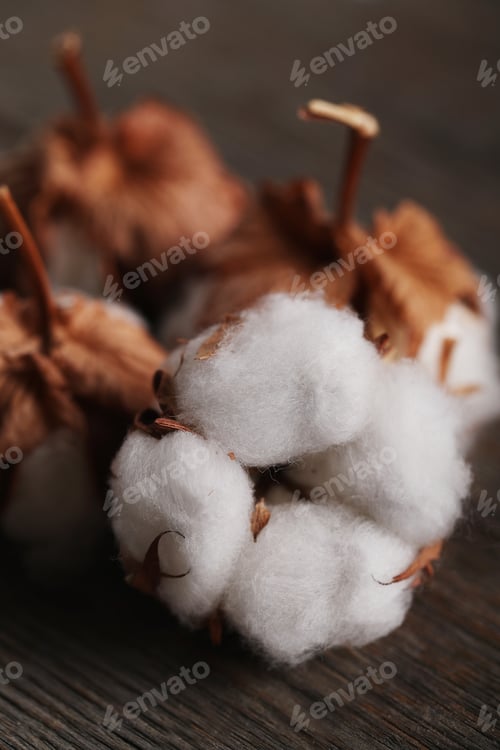Preview: Cotton flower