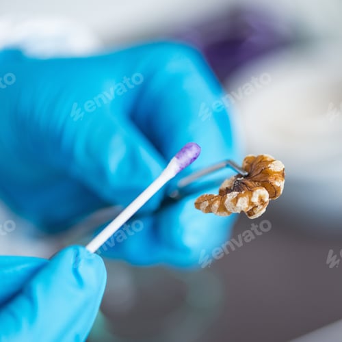 Preview: Microbiologist analysing quality of fruits