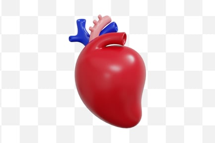 Preview: Heart Anatomy 3D Icon