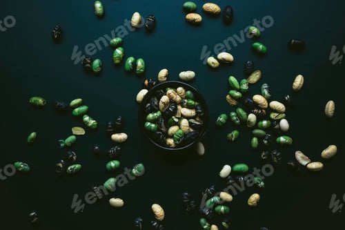 Preview: Elegant flat lay in dark tones of three color roasted edamame
