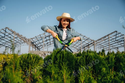 Preview: Process of cutting the bush with using scissors. Young redhead woman is taking care of garden