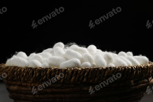 Preview: white silk cocoon, silky, fiber