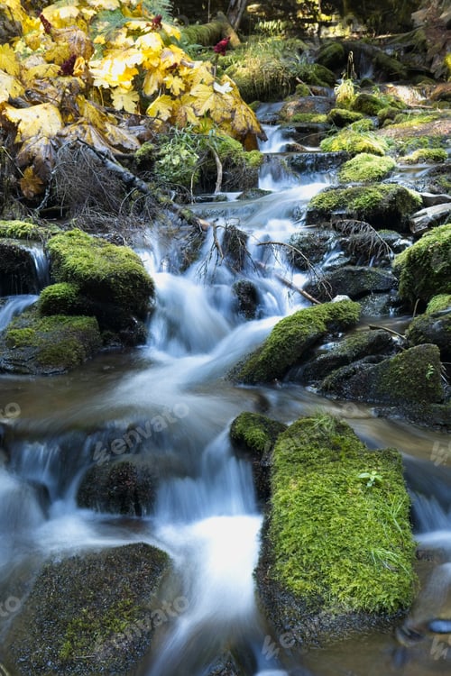 Preview: Flowing water from a mountain stream.
