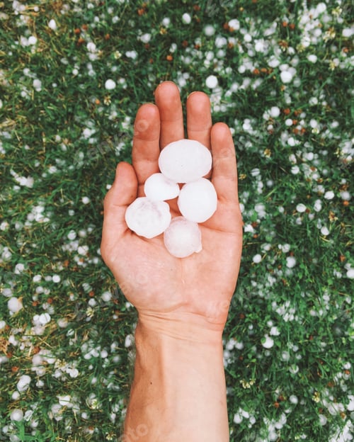 Preview: Hand Holding Hail on a Lawn After Storm